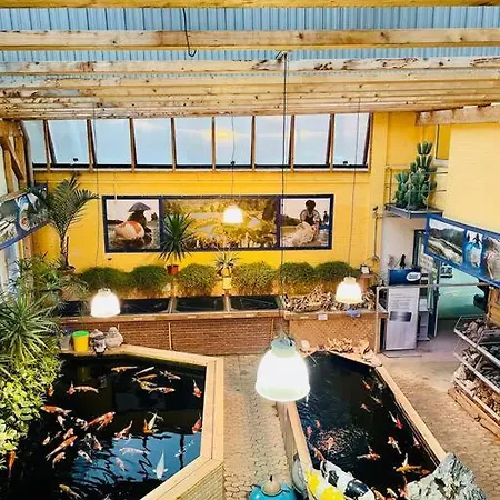 公寓 Grosszuegiges Loft In Zentraler Lage *